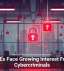 SMEs Face Growing Interest From Cybercriminals